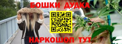 крисы Кингисепп