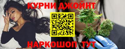крисы Кингисепп