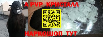 крисы Кингисепп