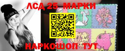 крисы Кингисепп