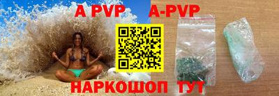 крисы Кингисепп