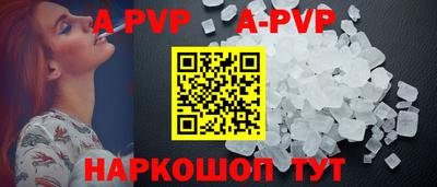 крисы Кингисепп