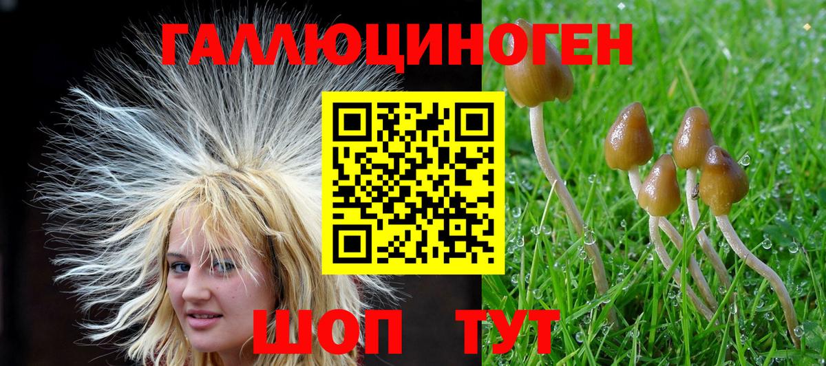 Псилоцибиновые грибы Psilocybine cubensis Костомукша