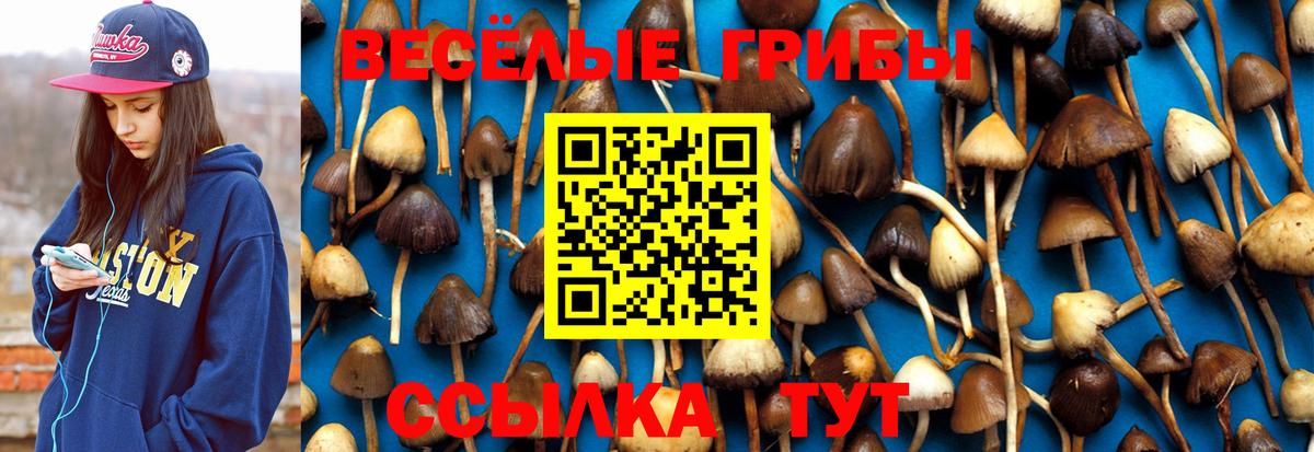 Галлюциногенные грибы ЛСД  Вход с VPN  Костомукша 